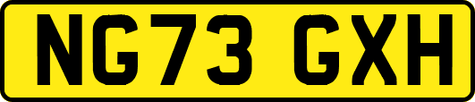 NG73GXH