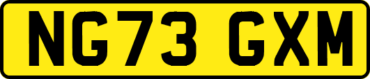 NG73GXM