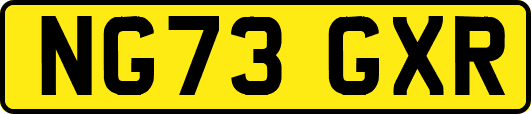 NG73GXR