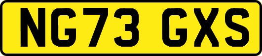 NG73GXS