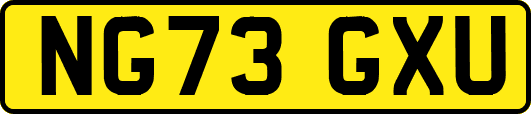 NG73GXU