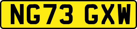 NG73GXW