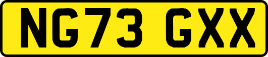 NG73GXX