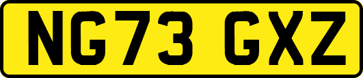 NG73GXZ