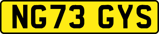 NG73GYS