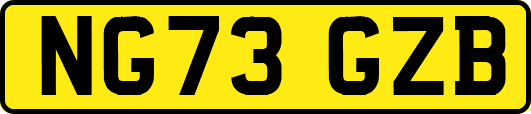 NG73GZB