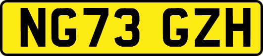 NG73GZH