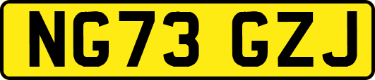 NG73GZJ