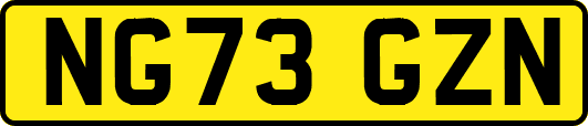 NG73GZN