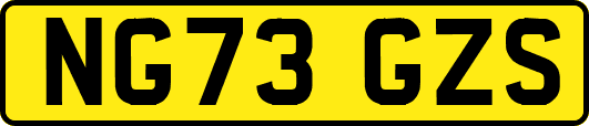 NG73GZS