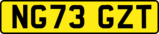 NG73GZT