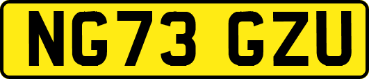 NG73GZU