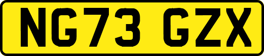 NG73GZX