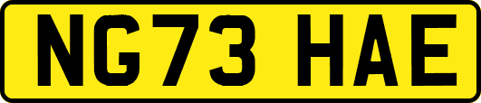 NG73HAE