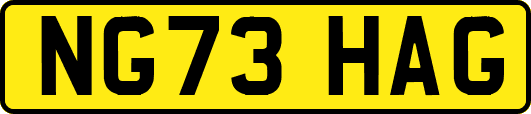 NG73HAG
