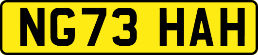 NG73HAH