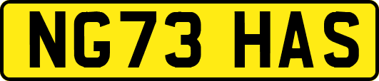 NG73HAS