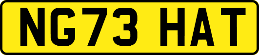 NG73HAT