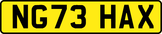 NG73HAX