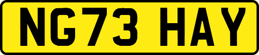 NG73HAY