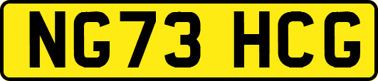 NG73HCG