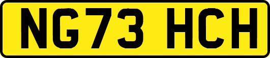 NG73HCH