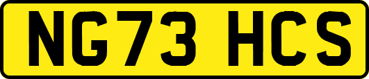 NG73HCS