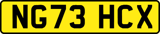 NG73HCX