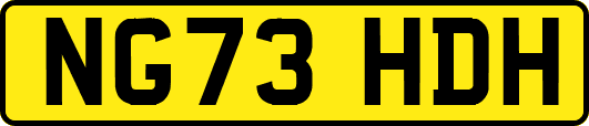 NG73HDH