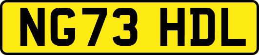 NG73HDL