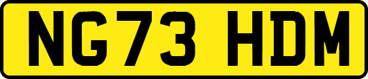 NG73HDM