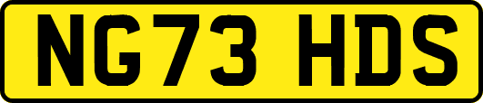 NG73HDS
