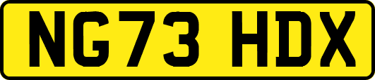 NG73HDX