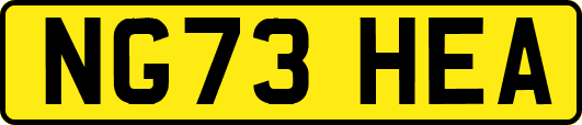 NG73HEA