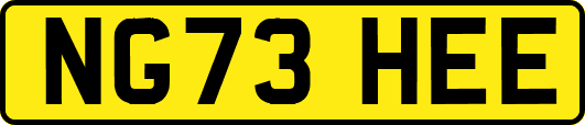 NG73HEE