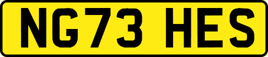 NG73HES
