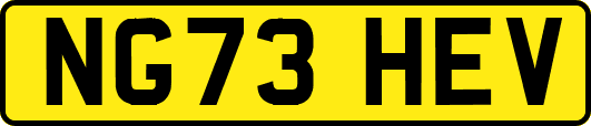 NG73HEV