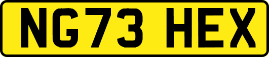 NG73HEX