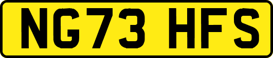 NG73HFS