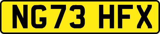 NG73HFX