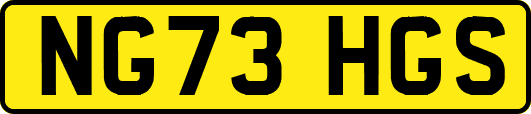 NG73HGS