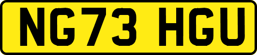 NG73HGU
