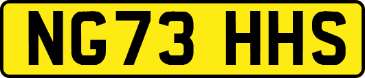 NG73HHS
