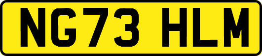 NG73HLM