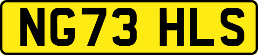 NG73HLS