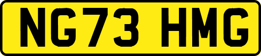NG73HMG