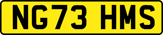 NG73HMS