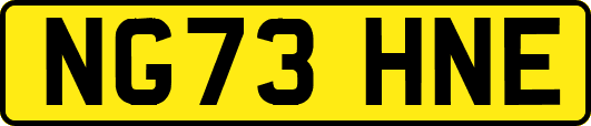 NG73HNE