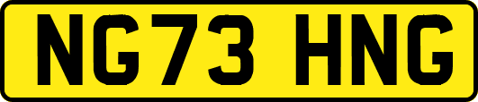 NG73HNG