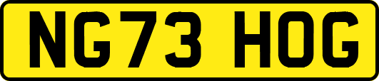 NG73HOG